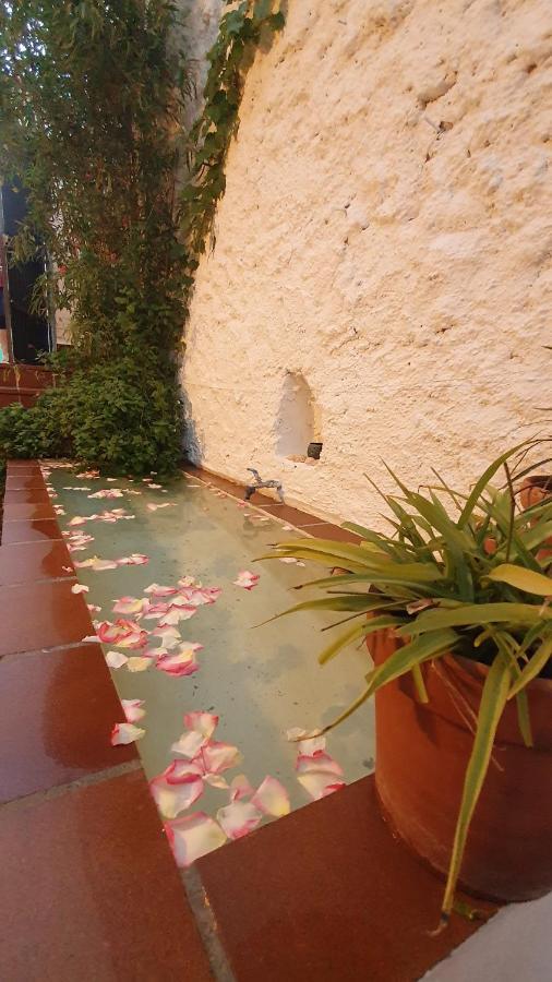 Ferienwohnung Casa Bambu Granada Exterior foto